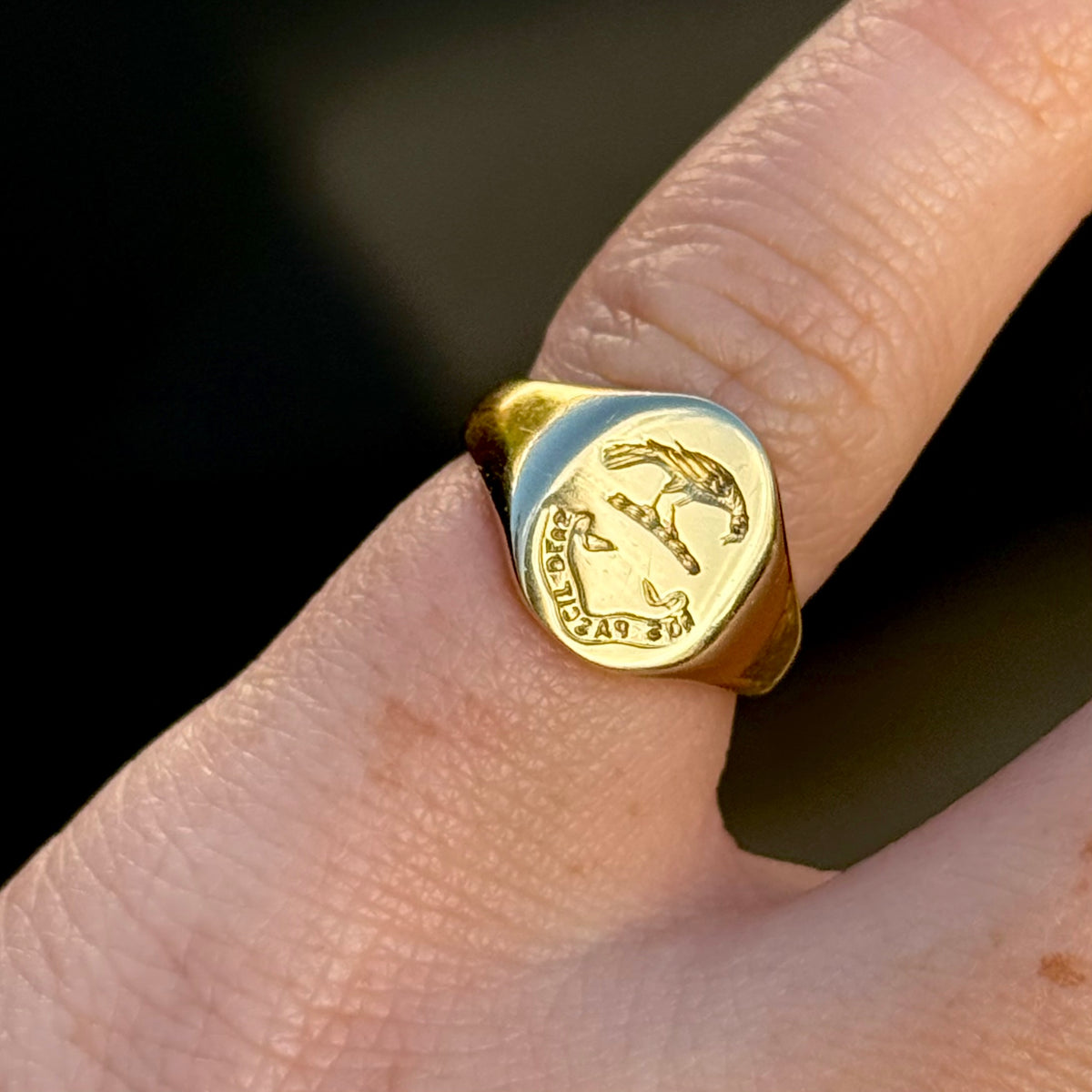 Vintage Raven Signet Ring in 18 Carat Gold; circa 1976