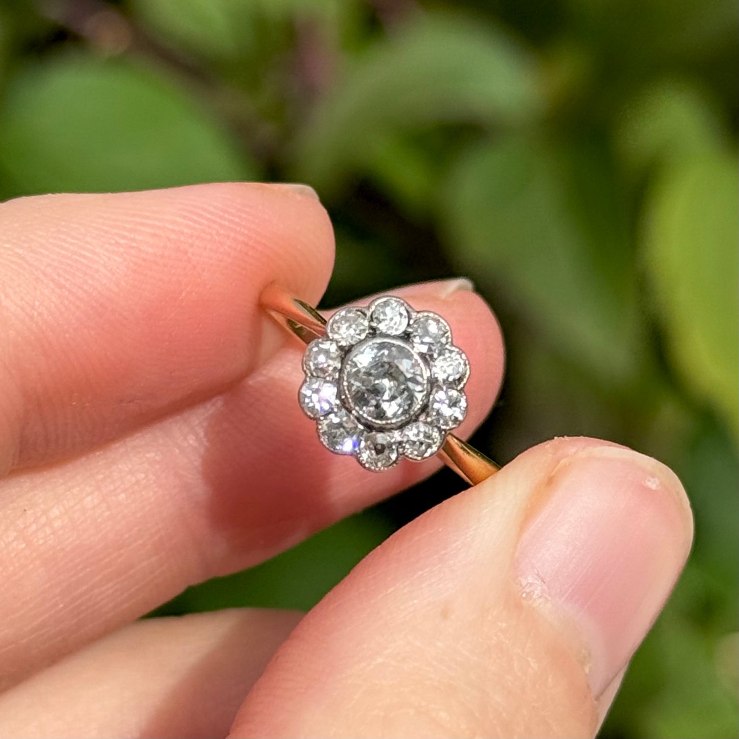 Edwardian Diamond Daisy Cluster Ring in 18 Carat Gold; Circa 1900