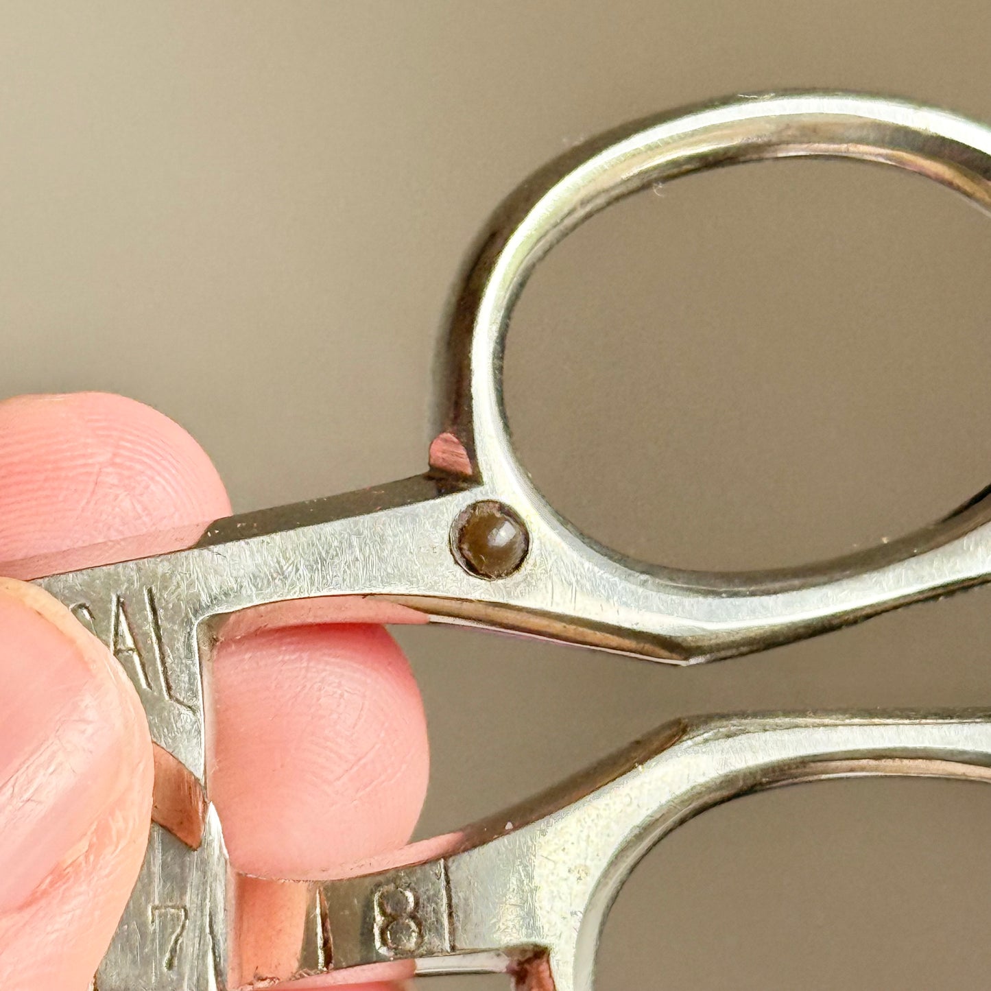 Antique Victorian Erotic Stanhope Universe Scissors