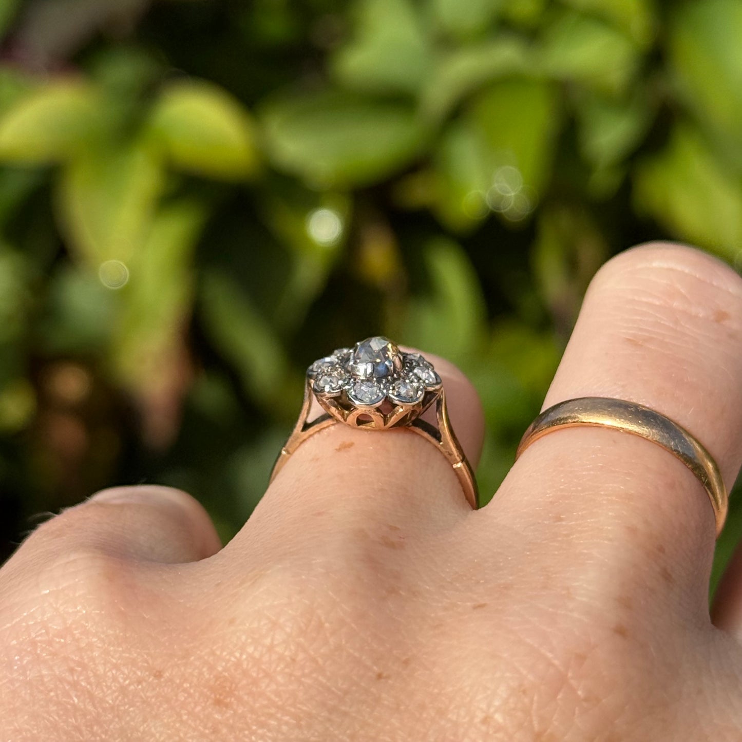 Antique Rose Cut Cluster Ring in 14 Carat Gold; Circa 1880