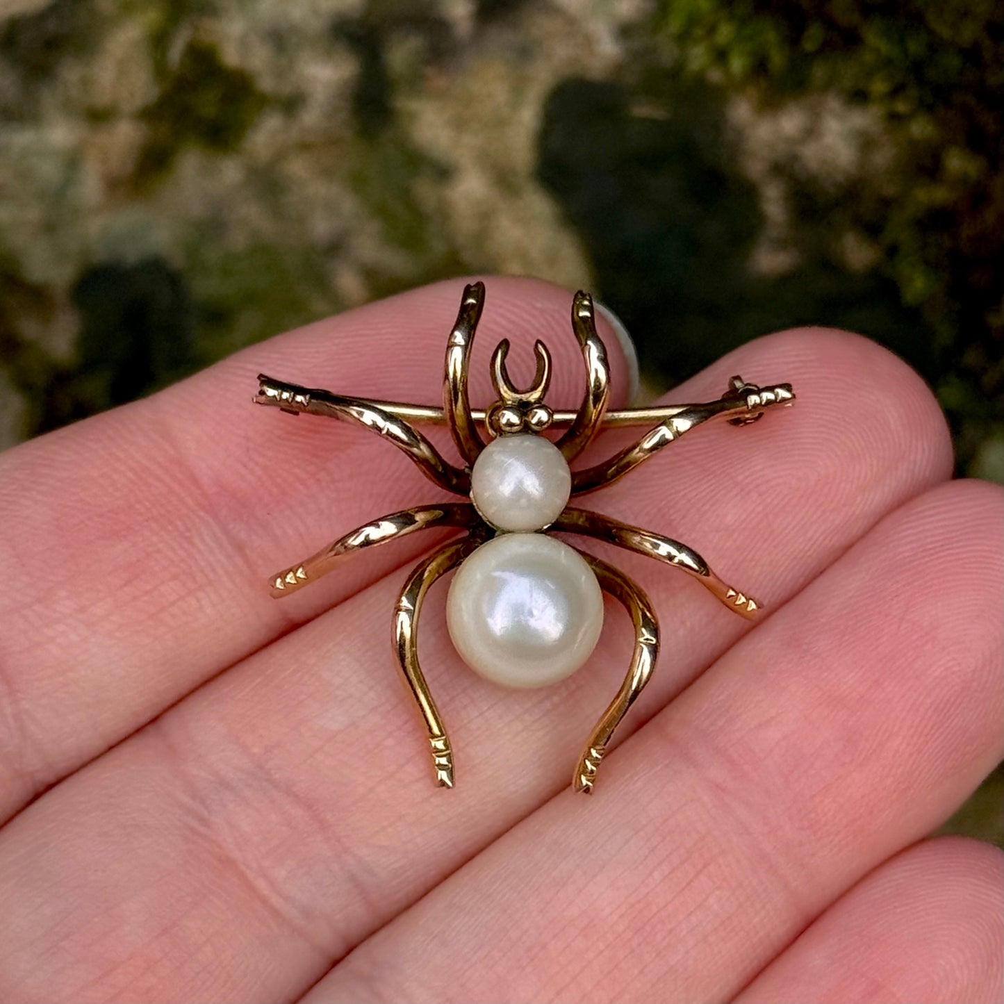 Victorian Pearl Spider Brooch in 9 Carat Gold; Circa 1890