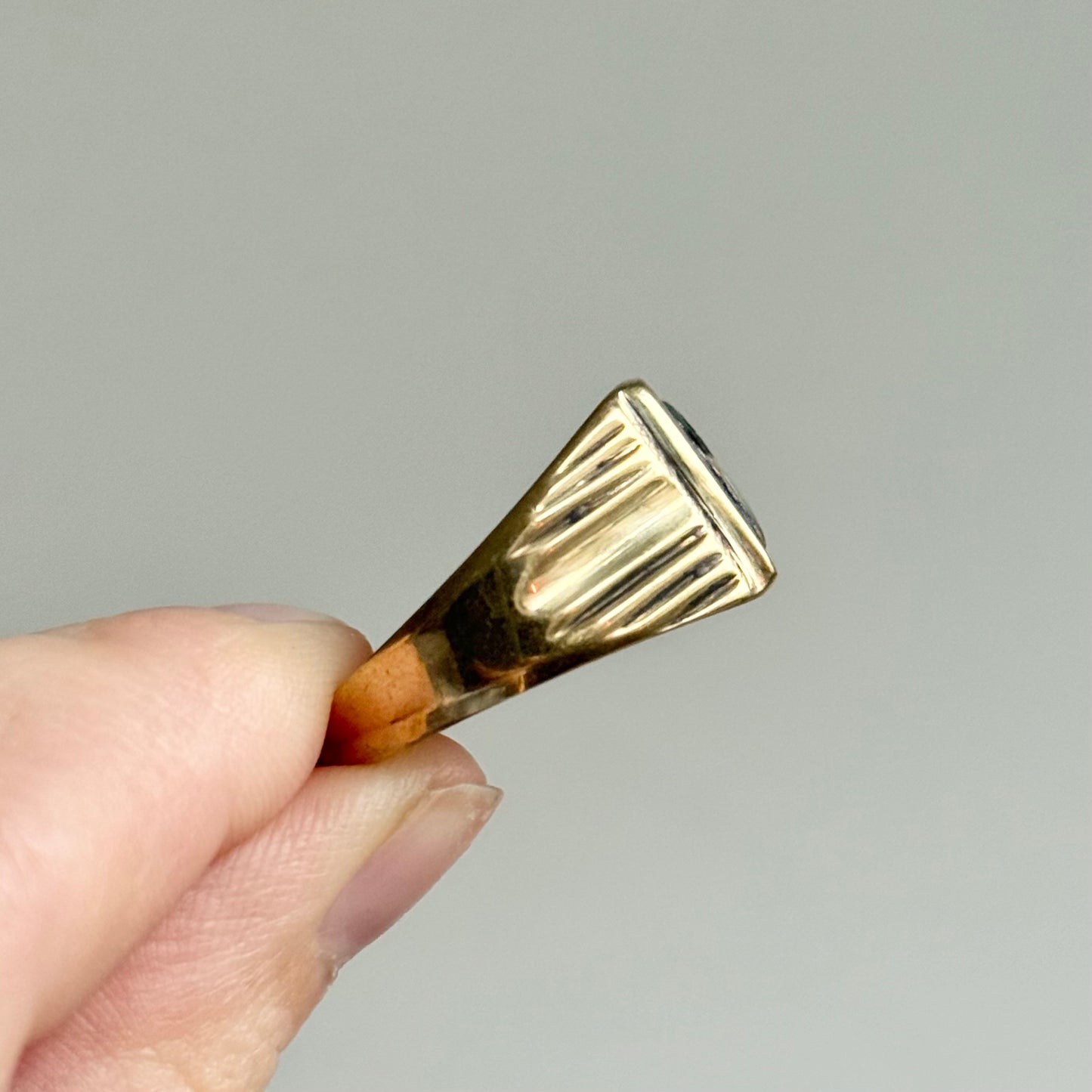 Shibayama Insect Inlay Ring