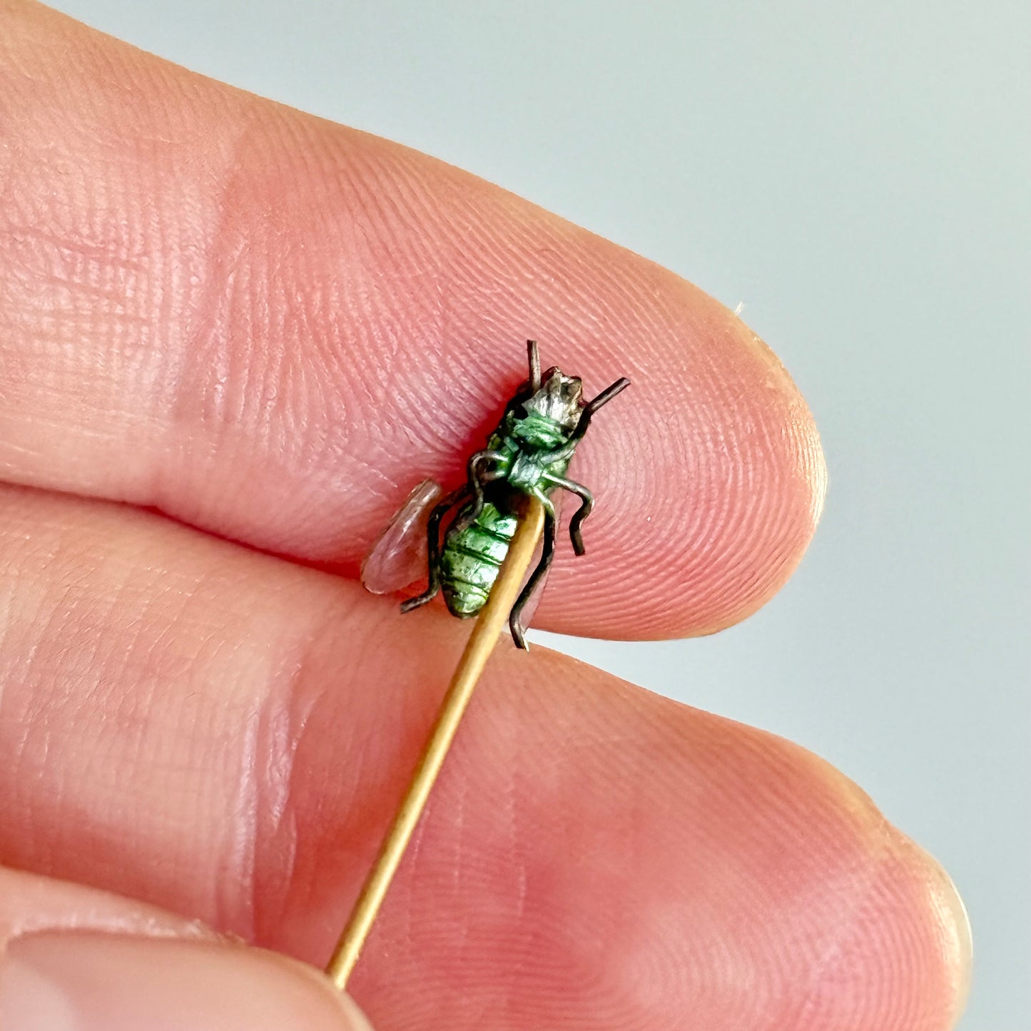 Realistic Antique Boxed Blue Bottle Fly Stick Pin; Circa 1895