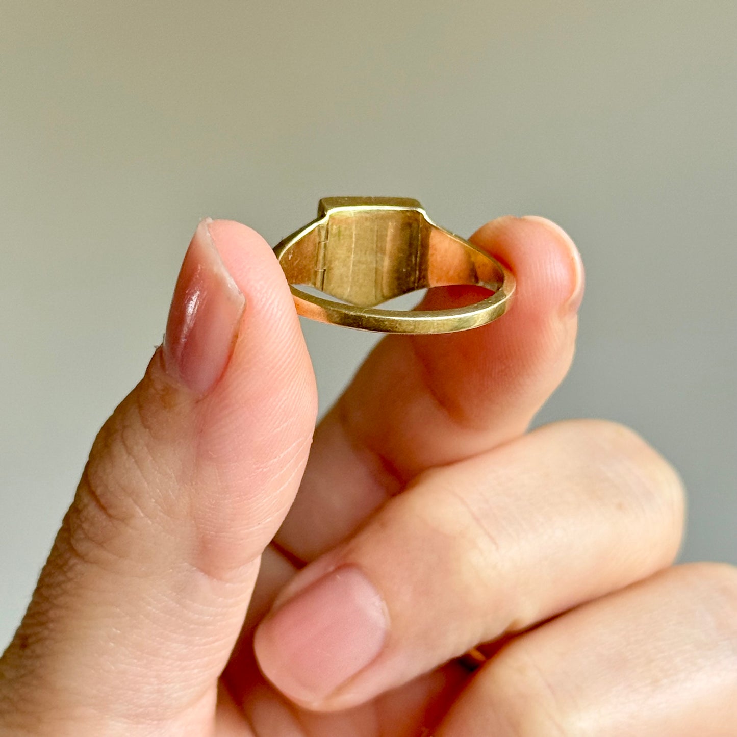 Early Victorian Ouroboros Intaglio Mourning Ring ; Circa 1840