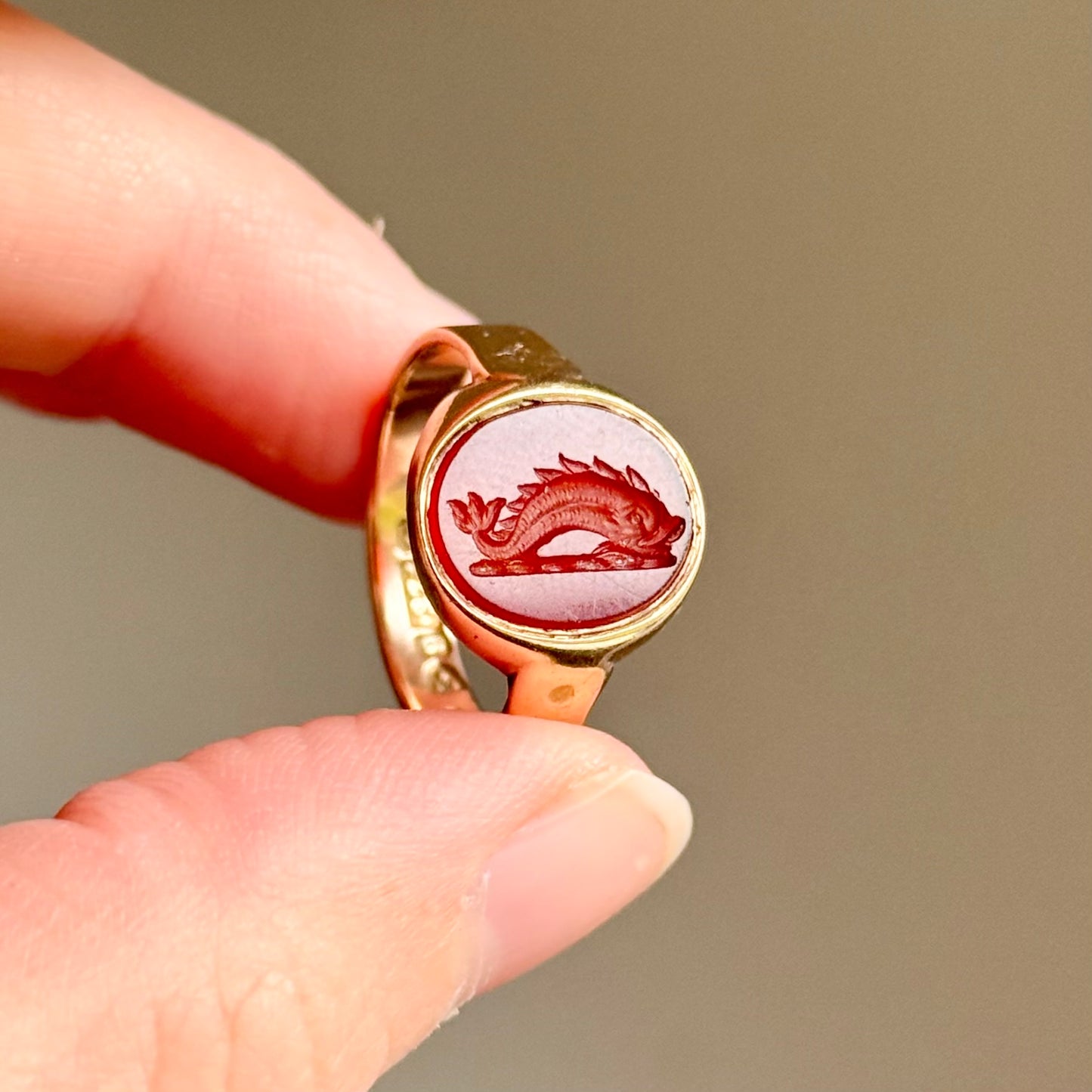 Edwardian Mythical Creature Intaglio Ring in 9 Carat Gold