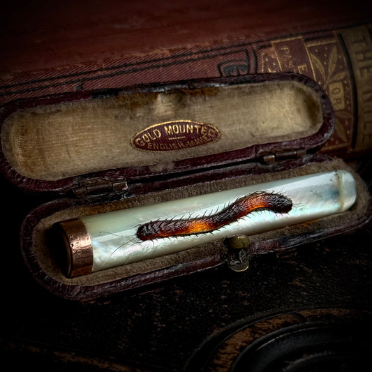 Antique Mother of Pearl Shibayama Cigarette Holder with Box