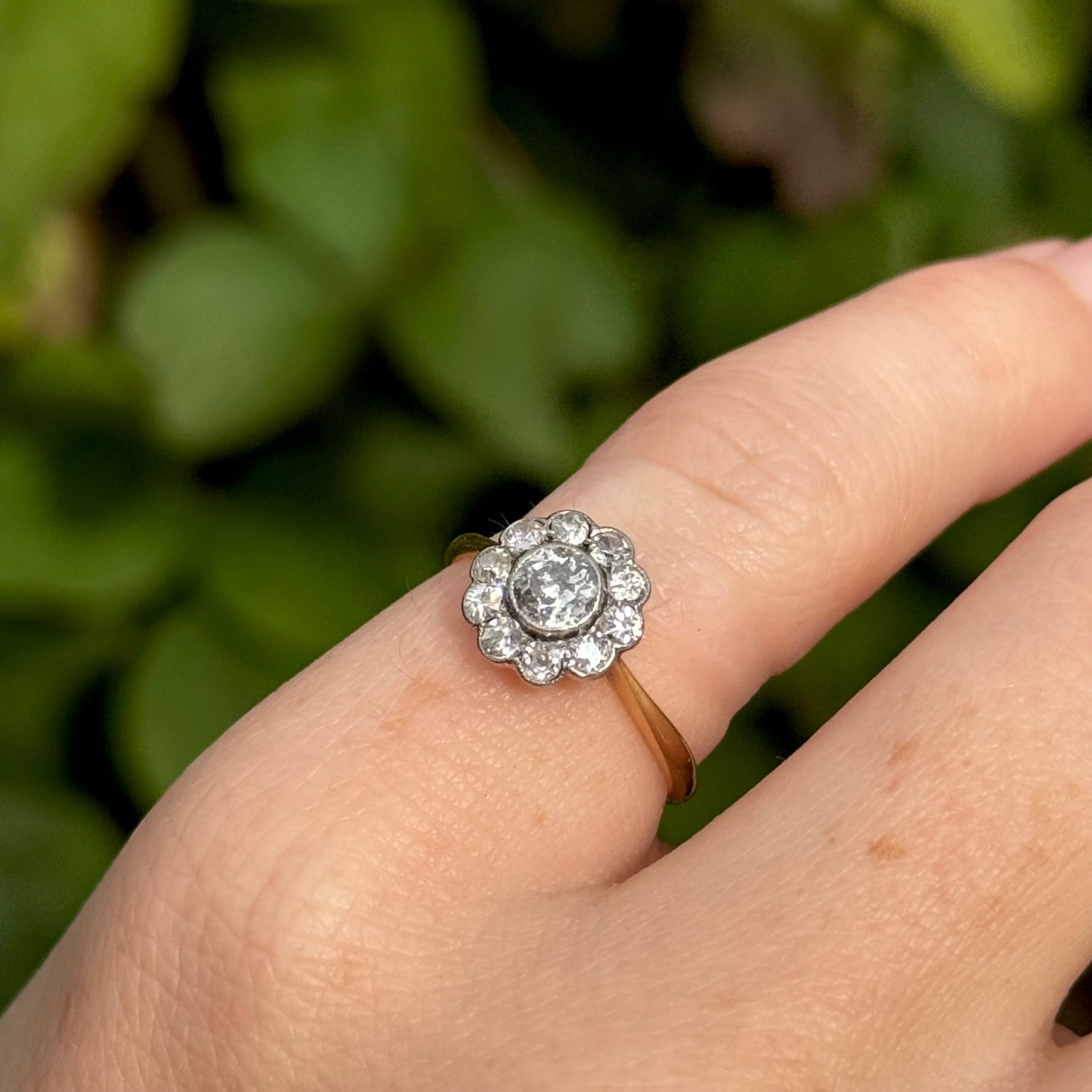 Edwardian Diamond Daisy Cluster Ring in 18 Carat Gold; Circa 1900