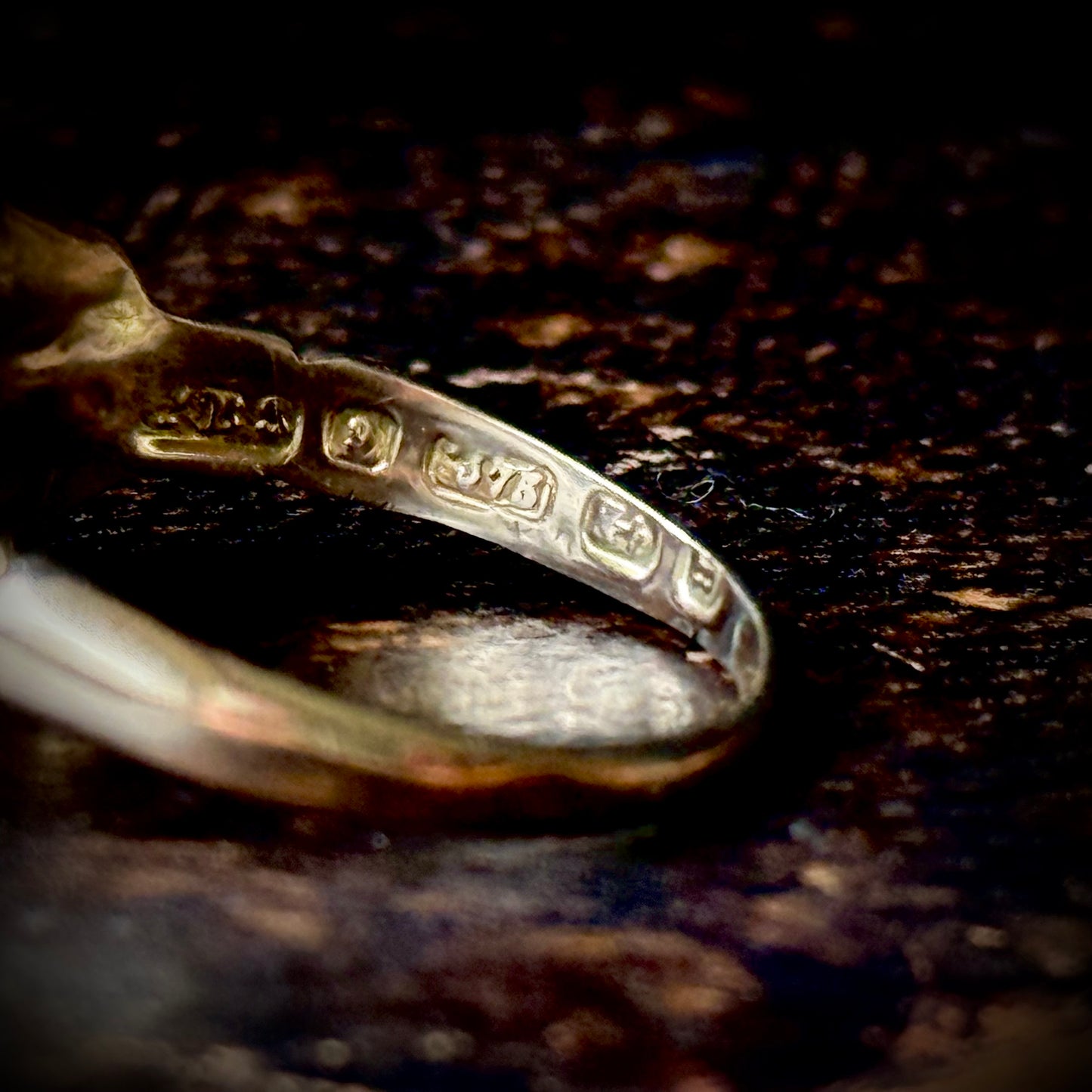 Antique Victorian Garnet Bear Claw Mount Ring in 9 Carat Gold