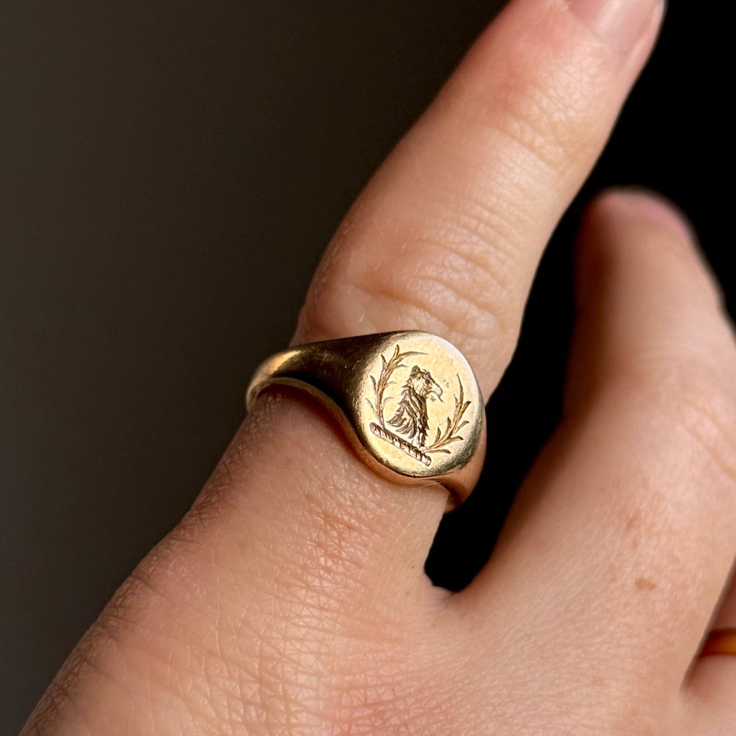 Vintage Lion & Laurel Signet Ring 9 Carat gold