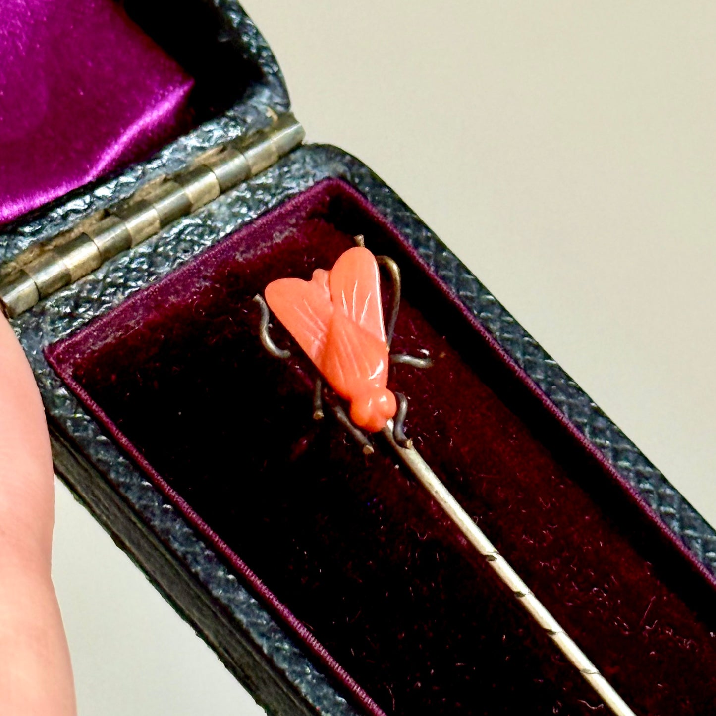 Antique Coral Boxed House Fly Stick Pin; Circa 1895