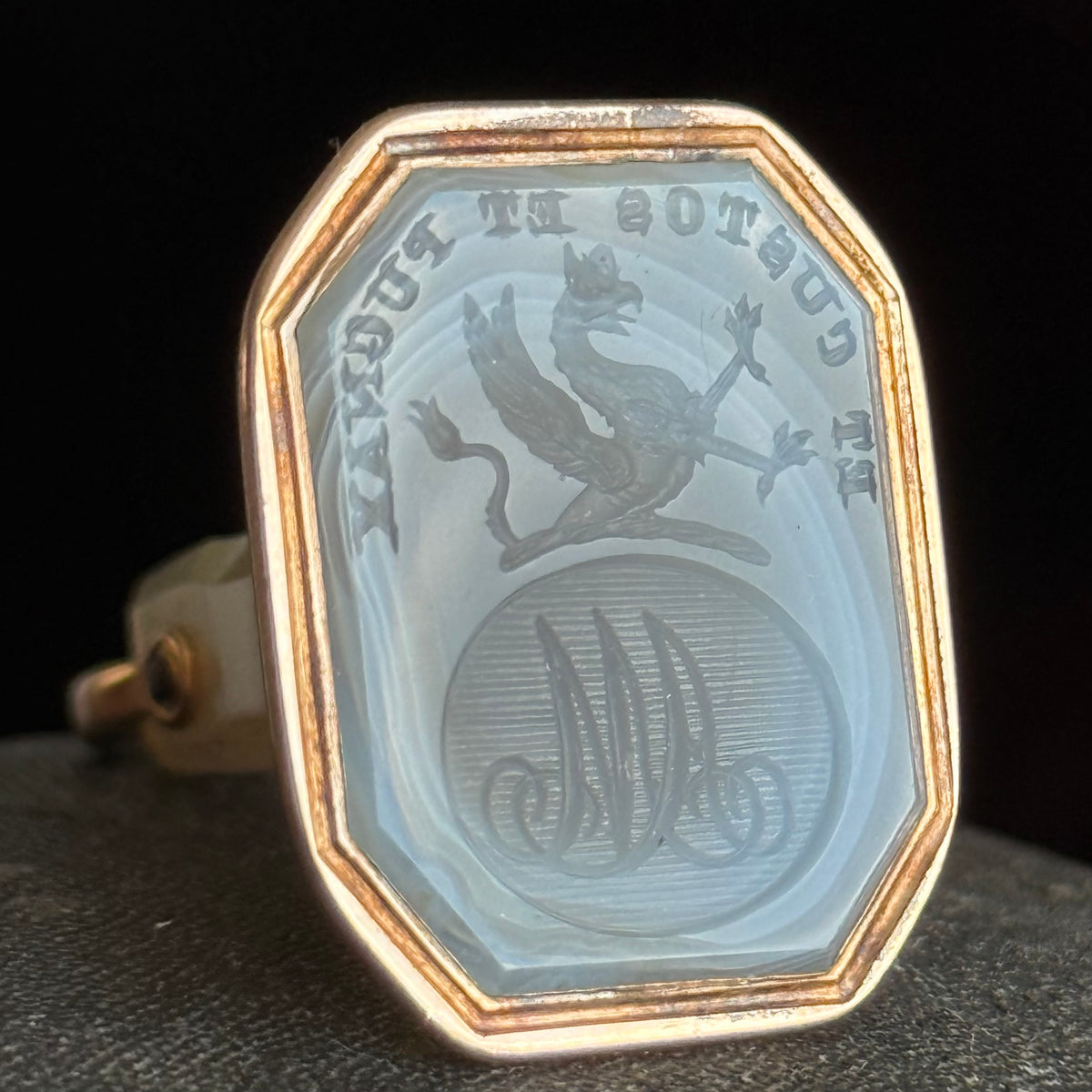 Georgian Scottish Clan Griffin Intaglio Fob Pendant; Circa 1830
