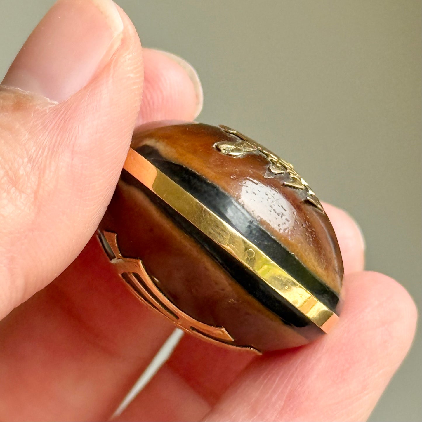 Victorian Sea Bean Pendant with Zodiac Crab Design