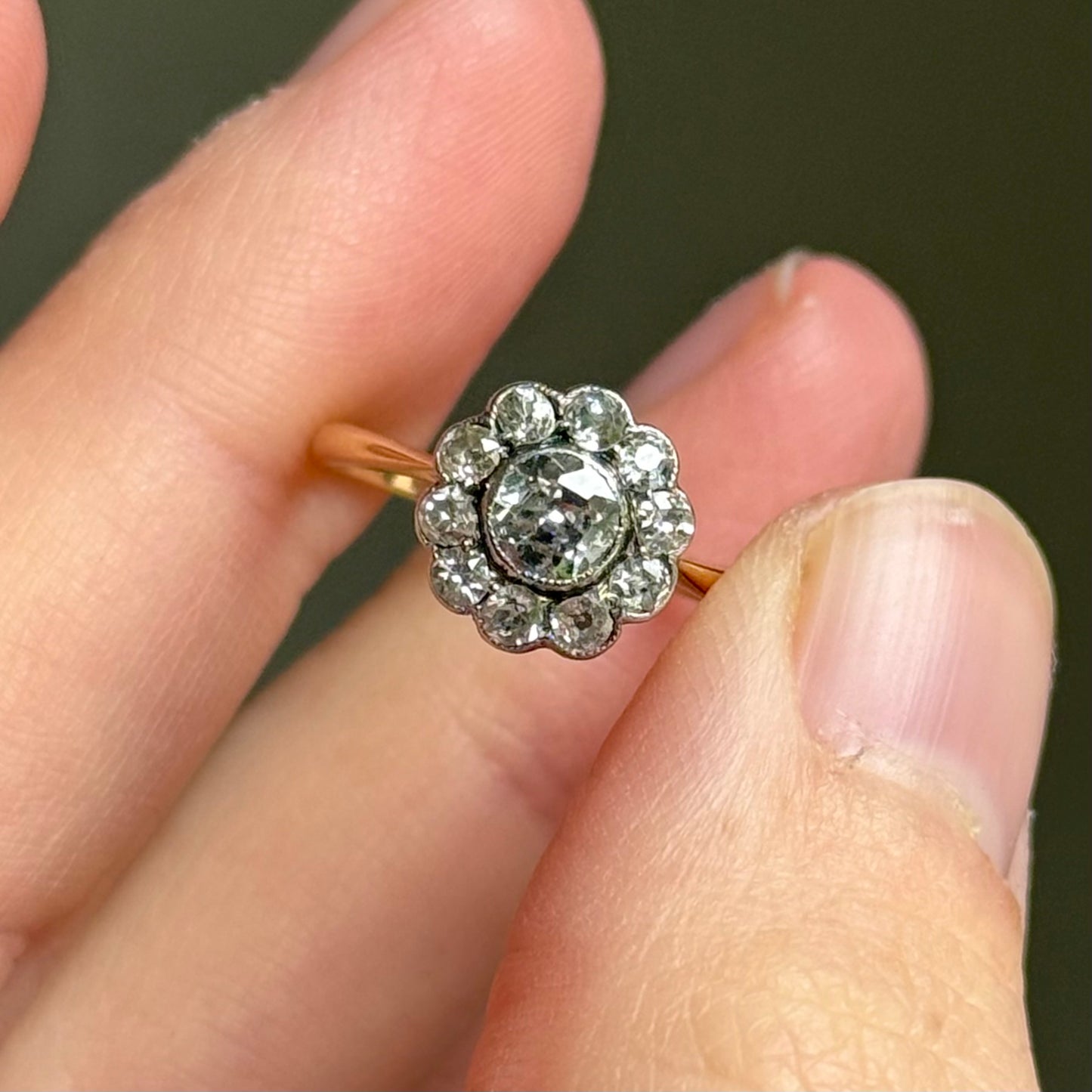 Edwardian Diamond Daisy Cluster Ring in 18 Carat Gold; Circa 1900