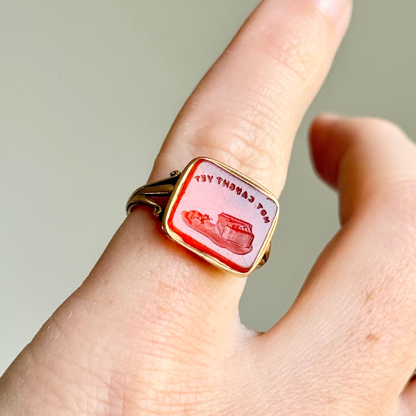 Georgian Carnelian Intaglio Seal Ring  “Not Caught Yet” Mousetrap; Circa 1830