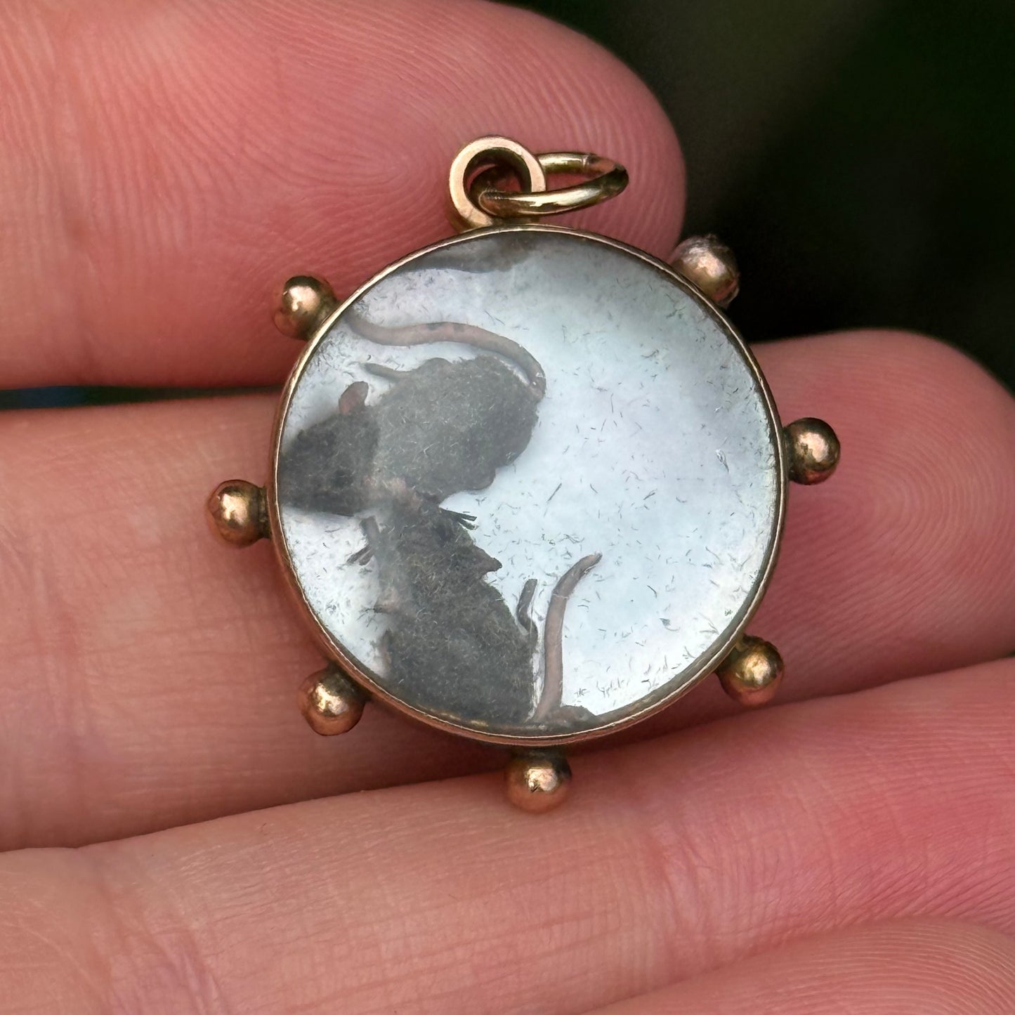 Antique Victorian Miniature Rat Locket; Circa 1880