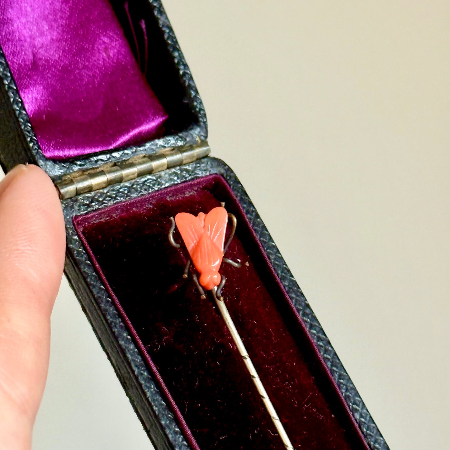 Antique Coral Boxed House Fly Stick Pin; Circa 1895