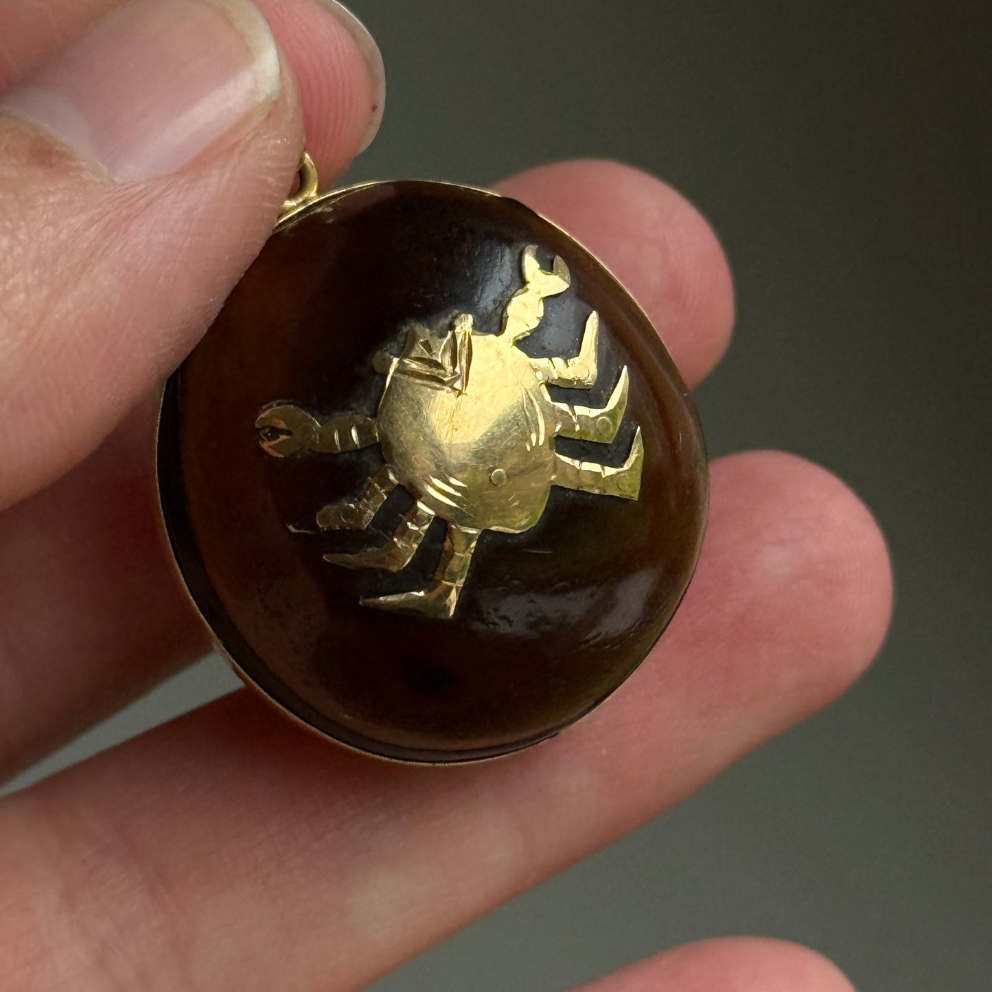 Victorian Sea Bean Pendant with Zodiac Crab Design