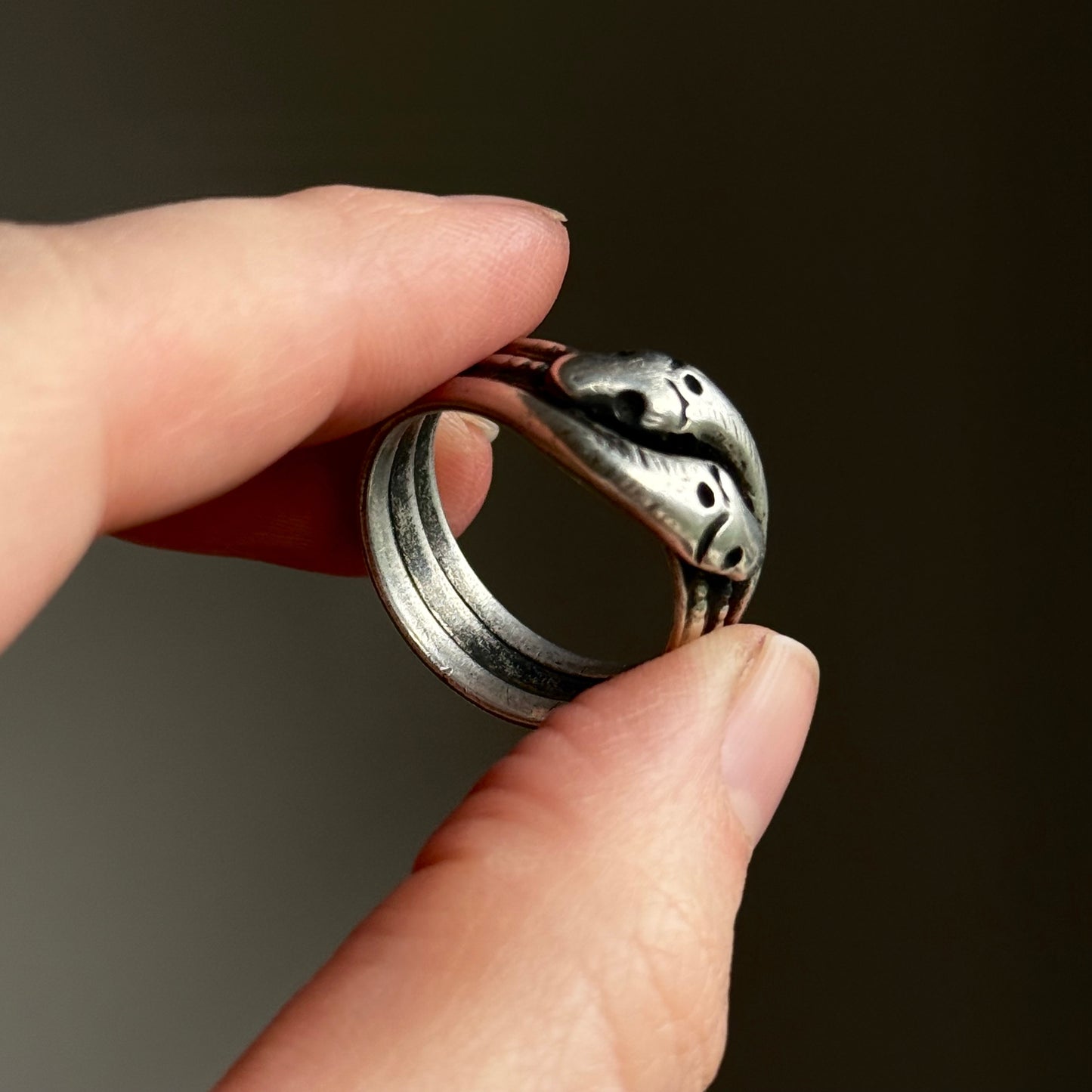 Antique Entwined Snakes Ring in Silver