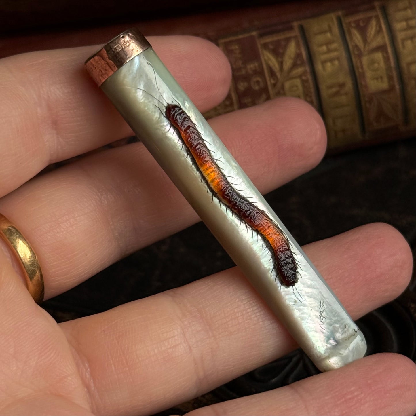 Antique Mother of Pearl Shibayama Cigarette Holder with Box
