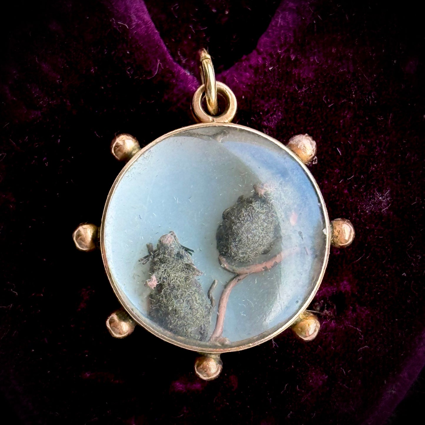 Antique Victorian Miniature Rat Locket; Circa 1880
