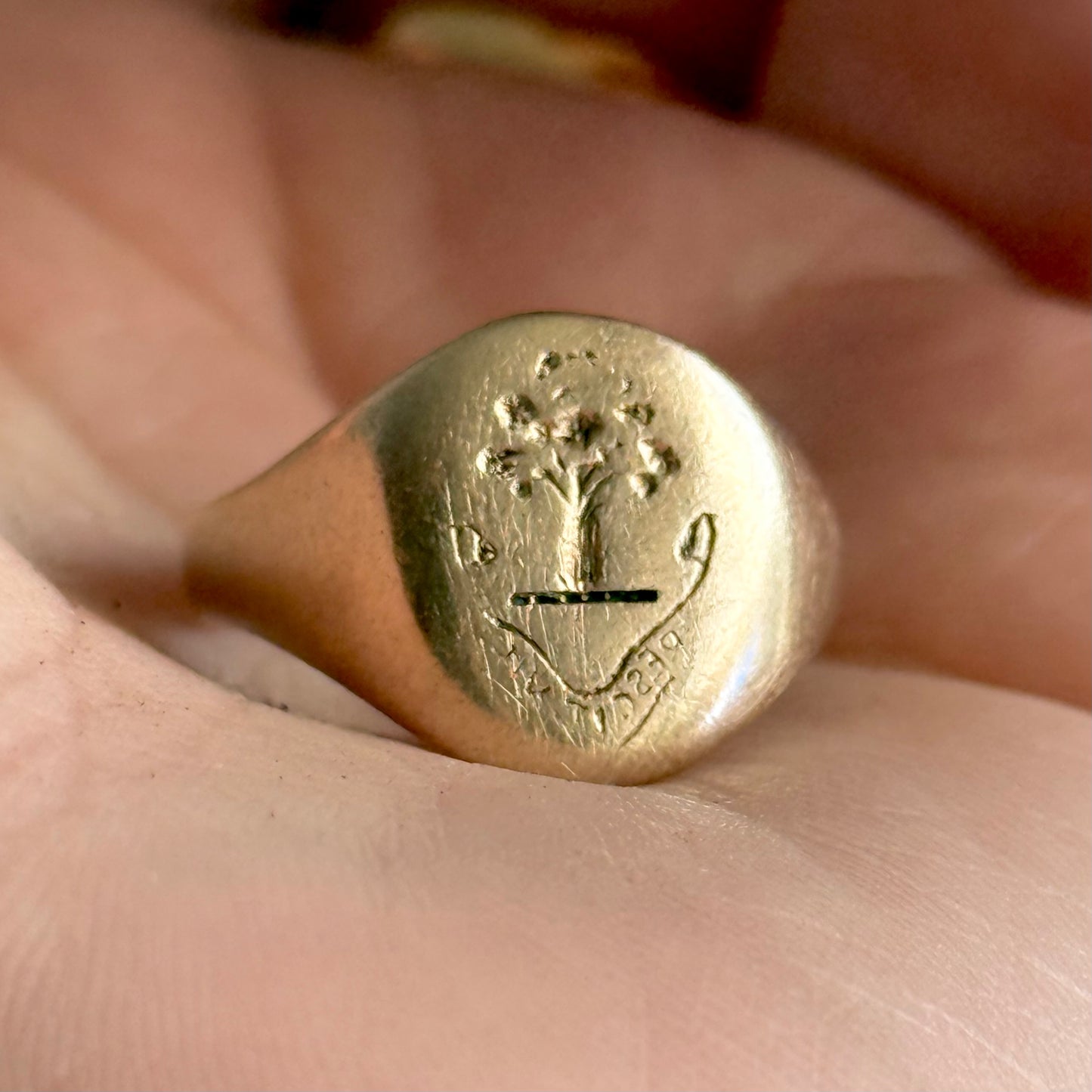 Antique Tree Signet Ring in 9 Carat Gold