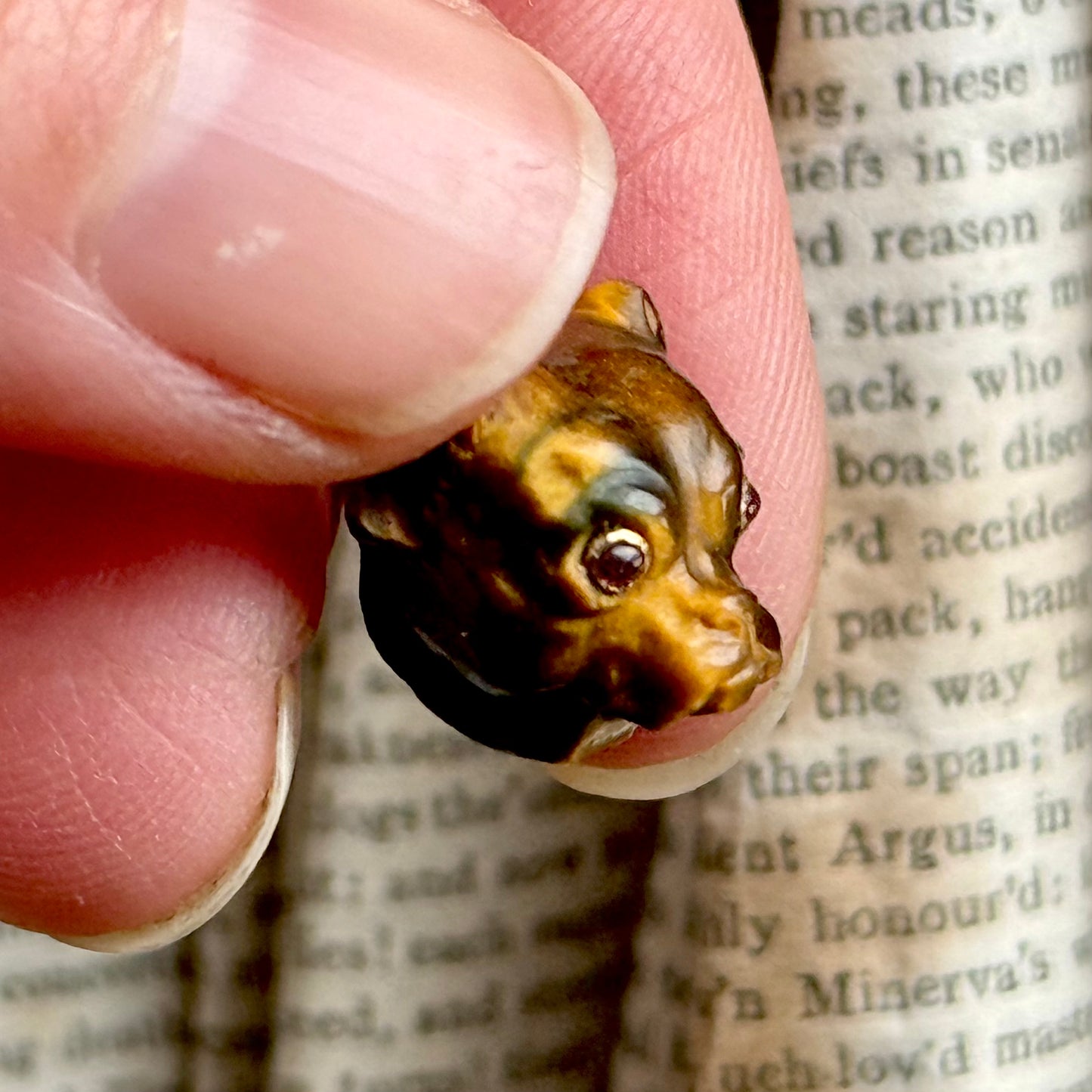 Antique Carved Tiger's Eye Pug Pendant With Ruby Eye's