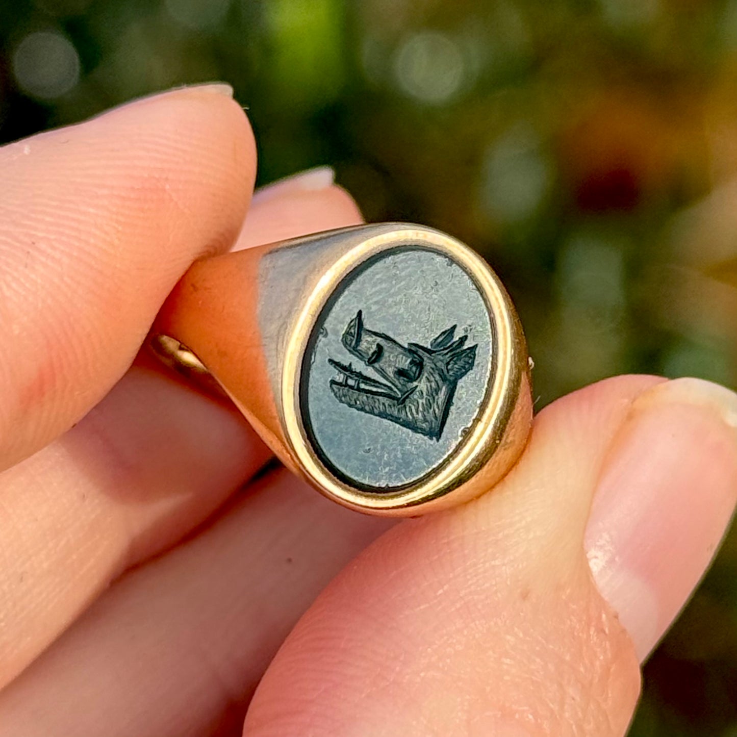 Bloodstone Boars Head Signet Ring in 9 Carat Gold, Circa 1936