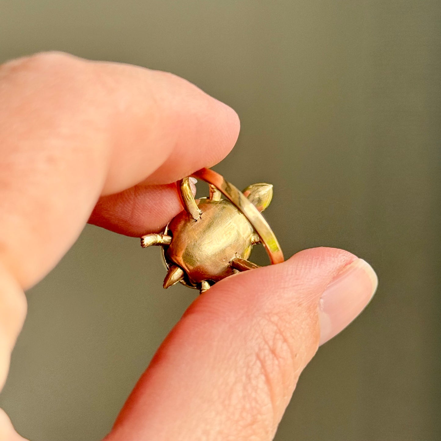 Vintage Tiger's Eye & Ruby Turtle Ring in 9 Carat Gold