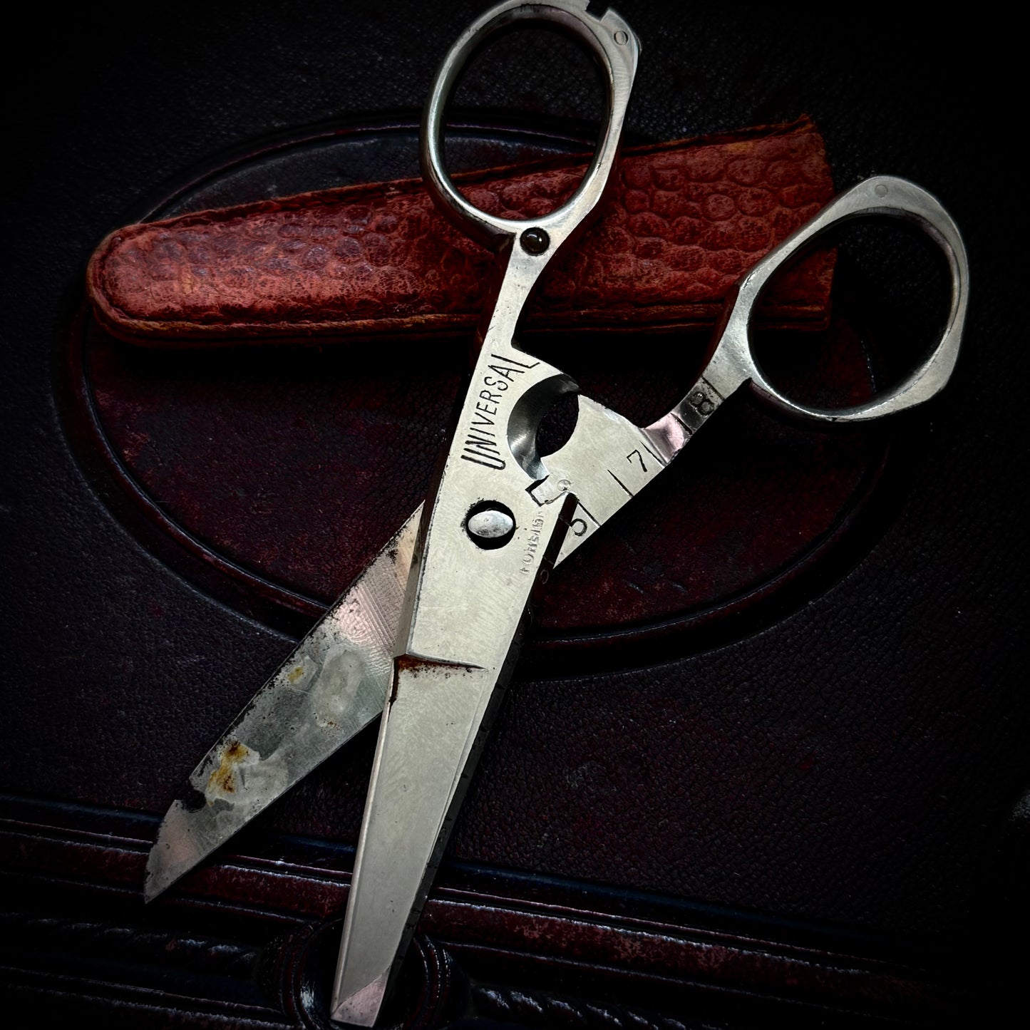 Antique Victorian Erotic Stanhope Universe Scissors