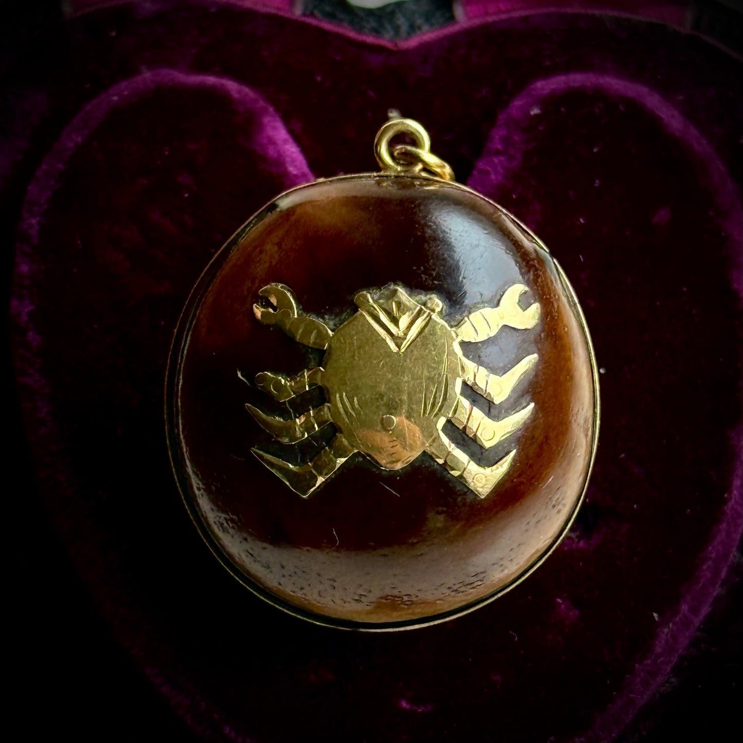 Victorian Sea Bean Pendant with Zodiac Crab Design