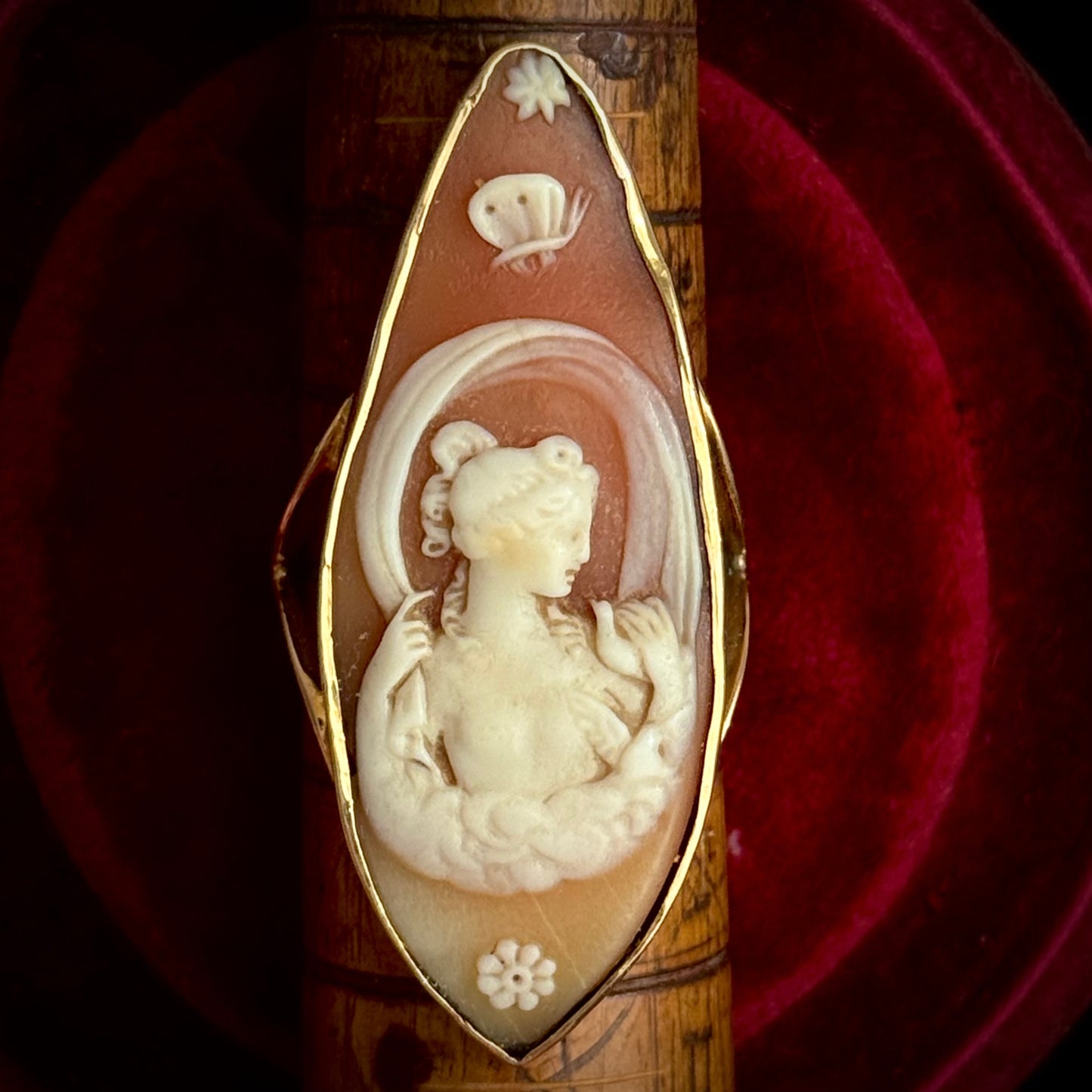 Antique Victorian Venus Dove & Butterfly Cameo Ring