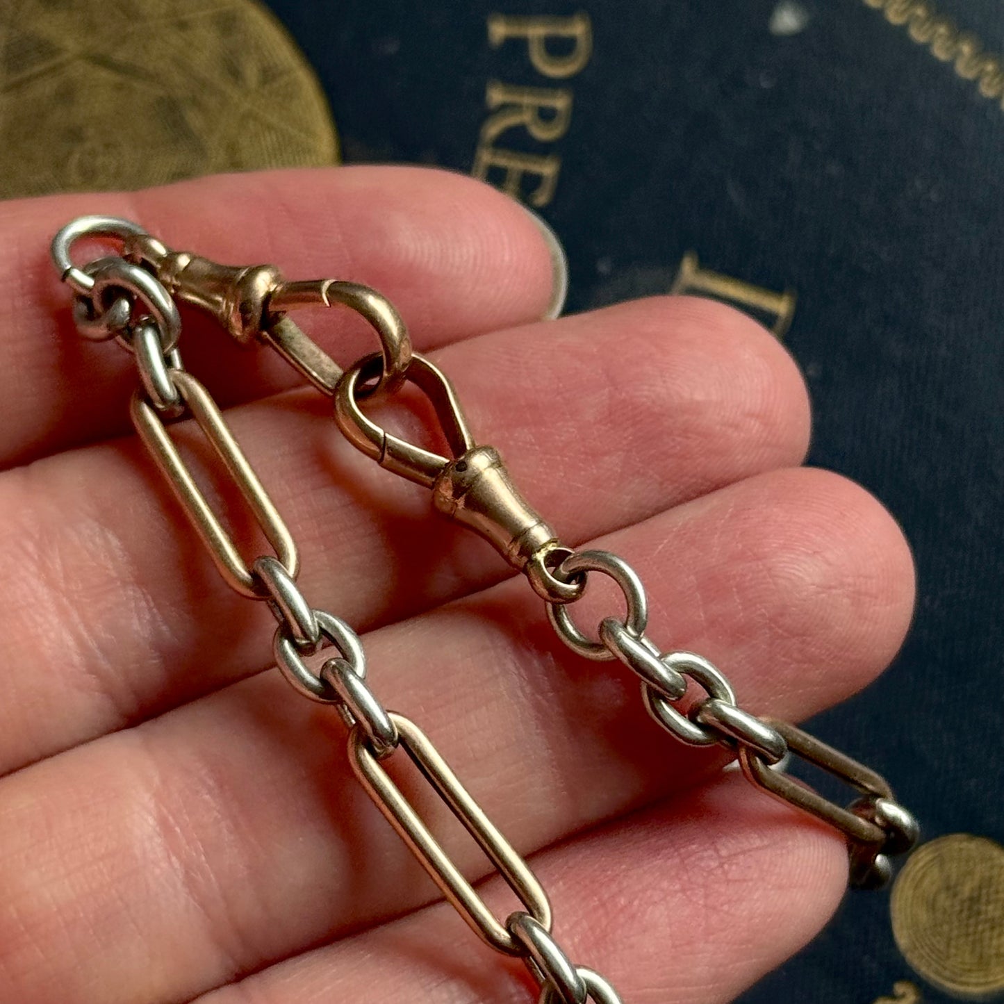 Antique Trombone Rose Gold & Silver Albert Chain; Circa 1880