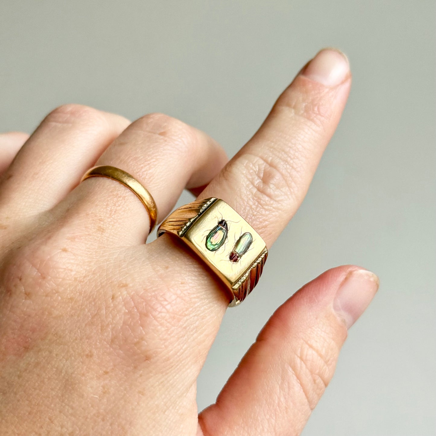 Shibayama Insect Inlay Ring