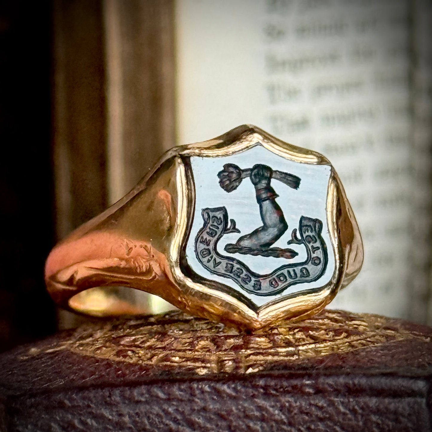 Antique Victorian Bloodstone Intaglio Signet Ring in 9 Carat Gold