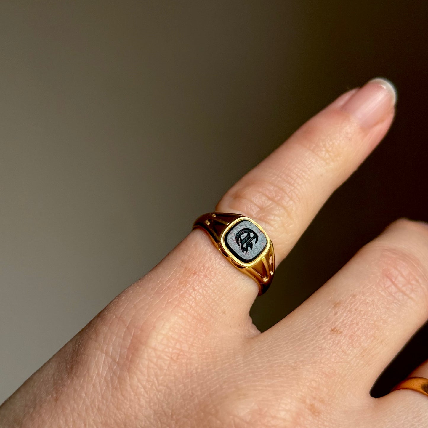 Antique Bloodstone 'E' Signet Ring in 18 Carat Gold