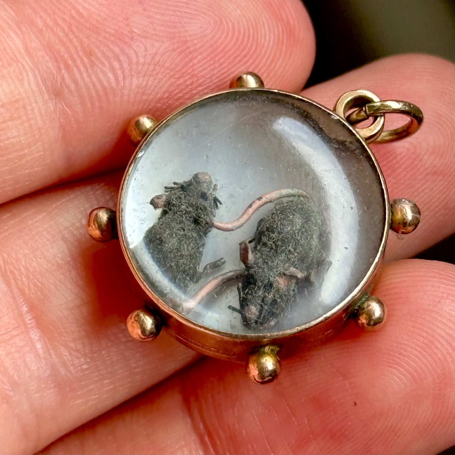 Antique Victorian Miniature Rat Locket; Circa 1880