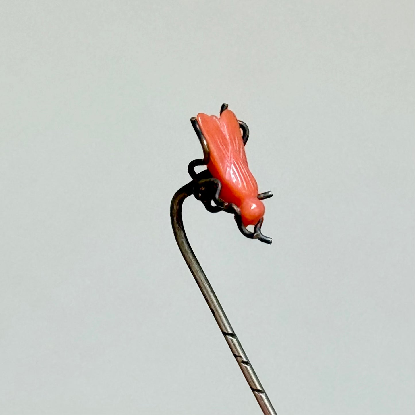 Antique Coral Boxed House Fly Stick Pin; Circa 1895