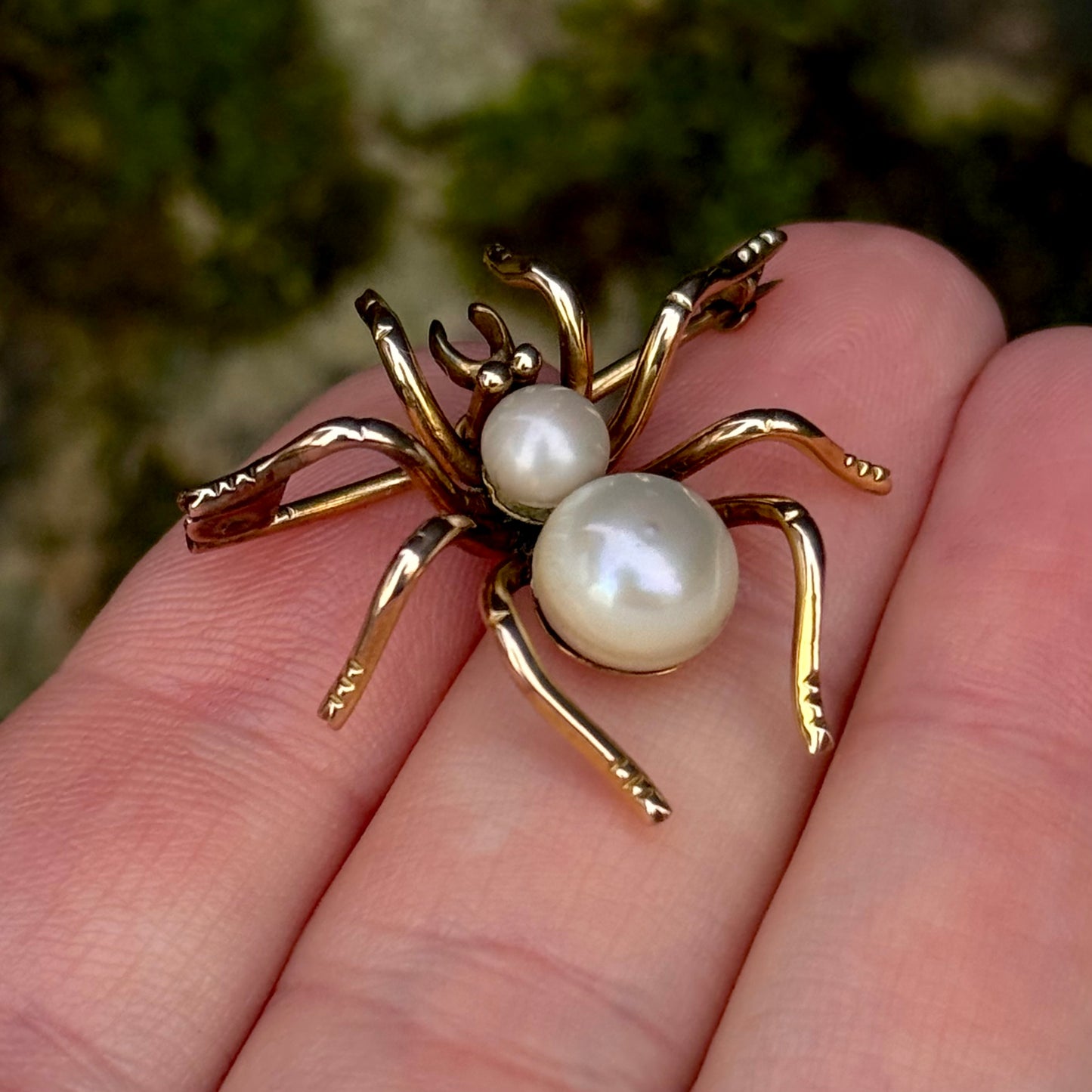 Victorian Pearl Spider Brooch in 9 Carat Gold; Circa 1890