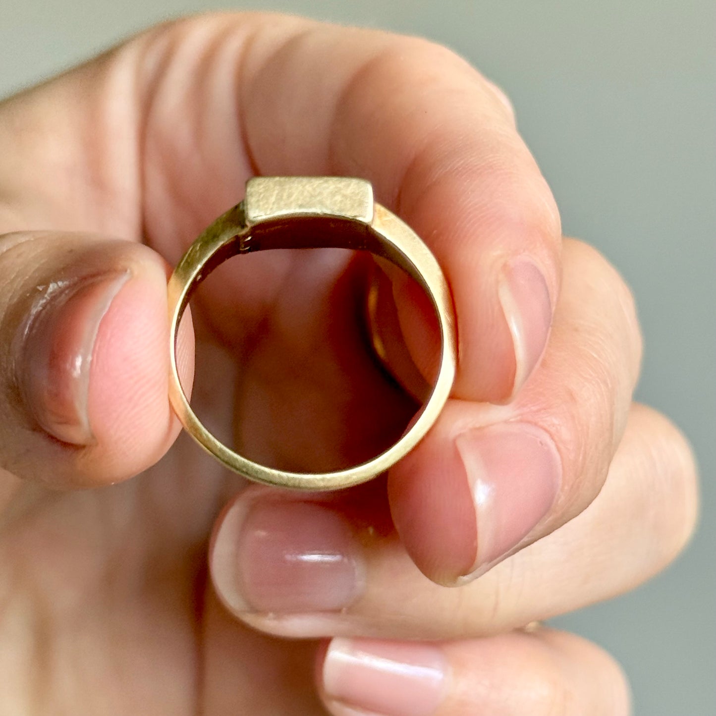 Early Victorian Ouroboros Intaglio Mourning Ring ; Circa 1840