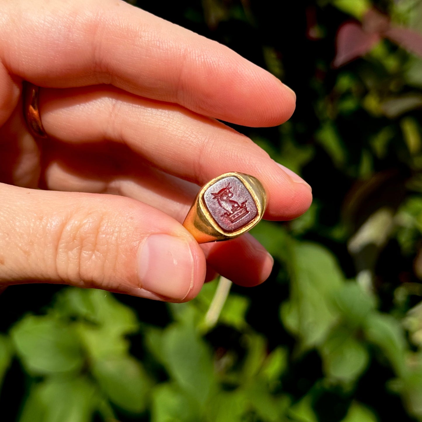 Antique Carnelian Signet Ring in 18 Carat Gold, Circa 1880