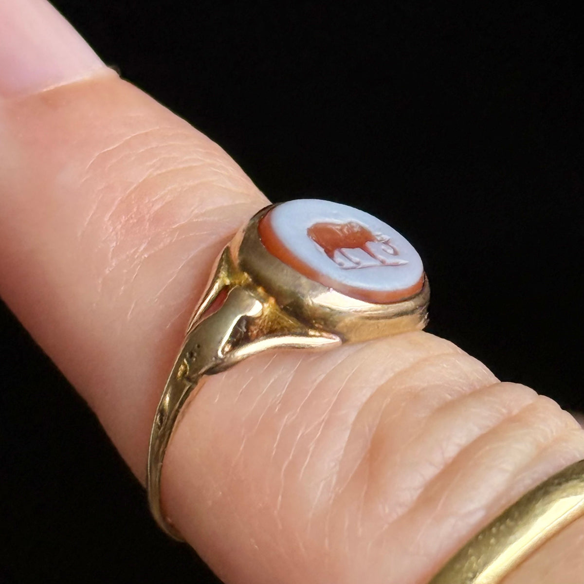 Antique Elephant Signet Ring in 9 Carat Gold; Circa 1880