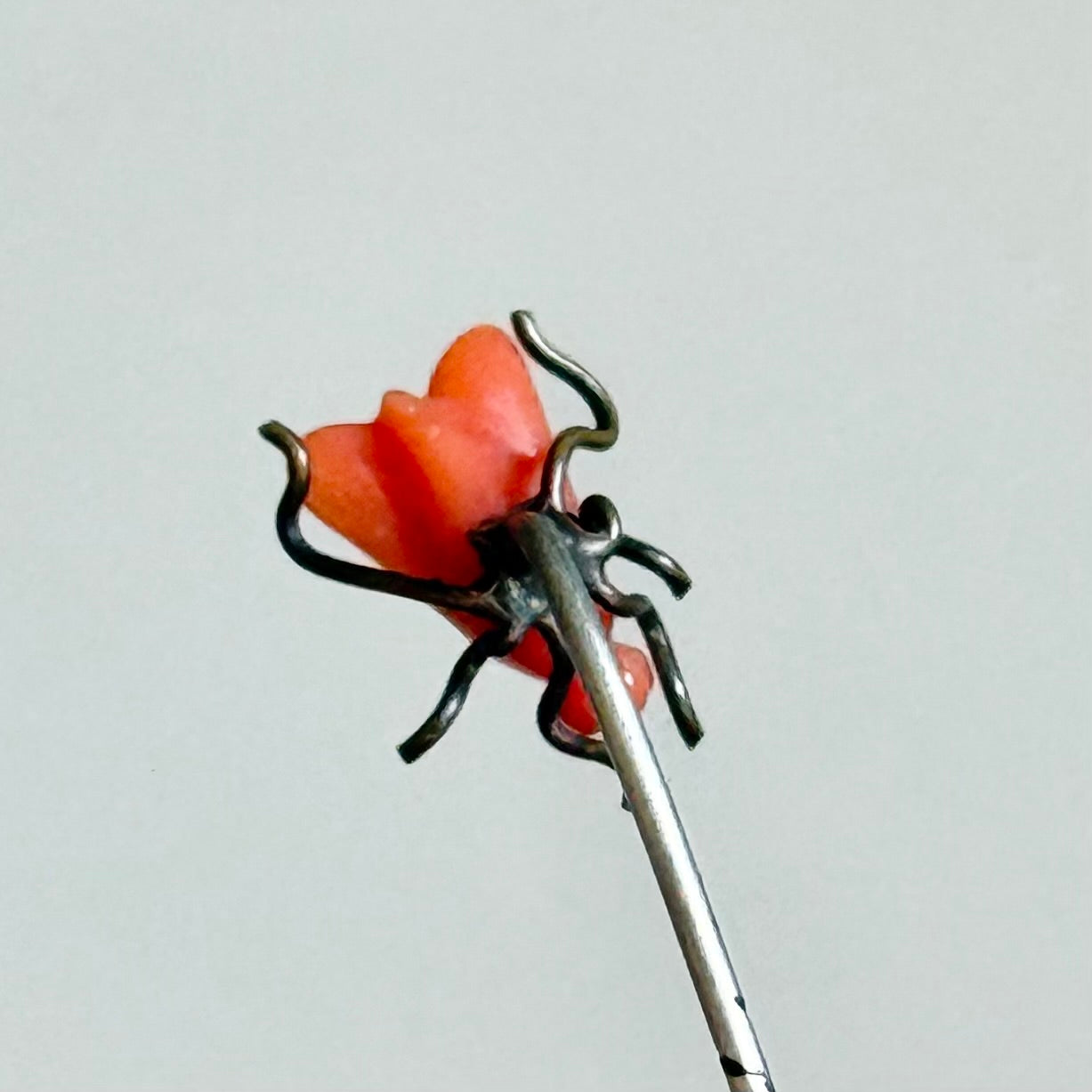 Antique Coral Boxed House Fly Stick Pin; Circa 1895