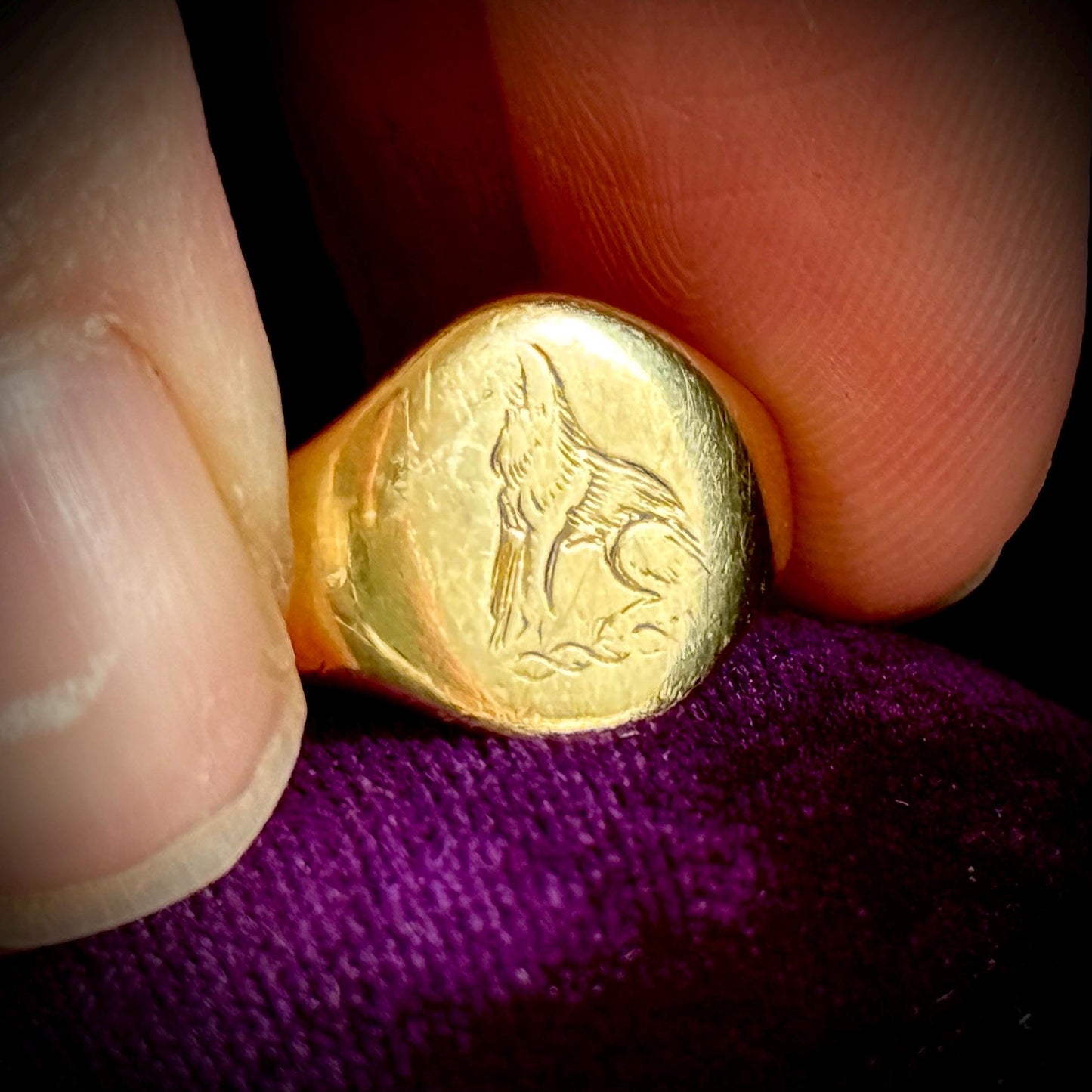 Ornate Dog Signet Ring in 18 Carat Gold; Circa 1950