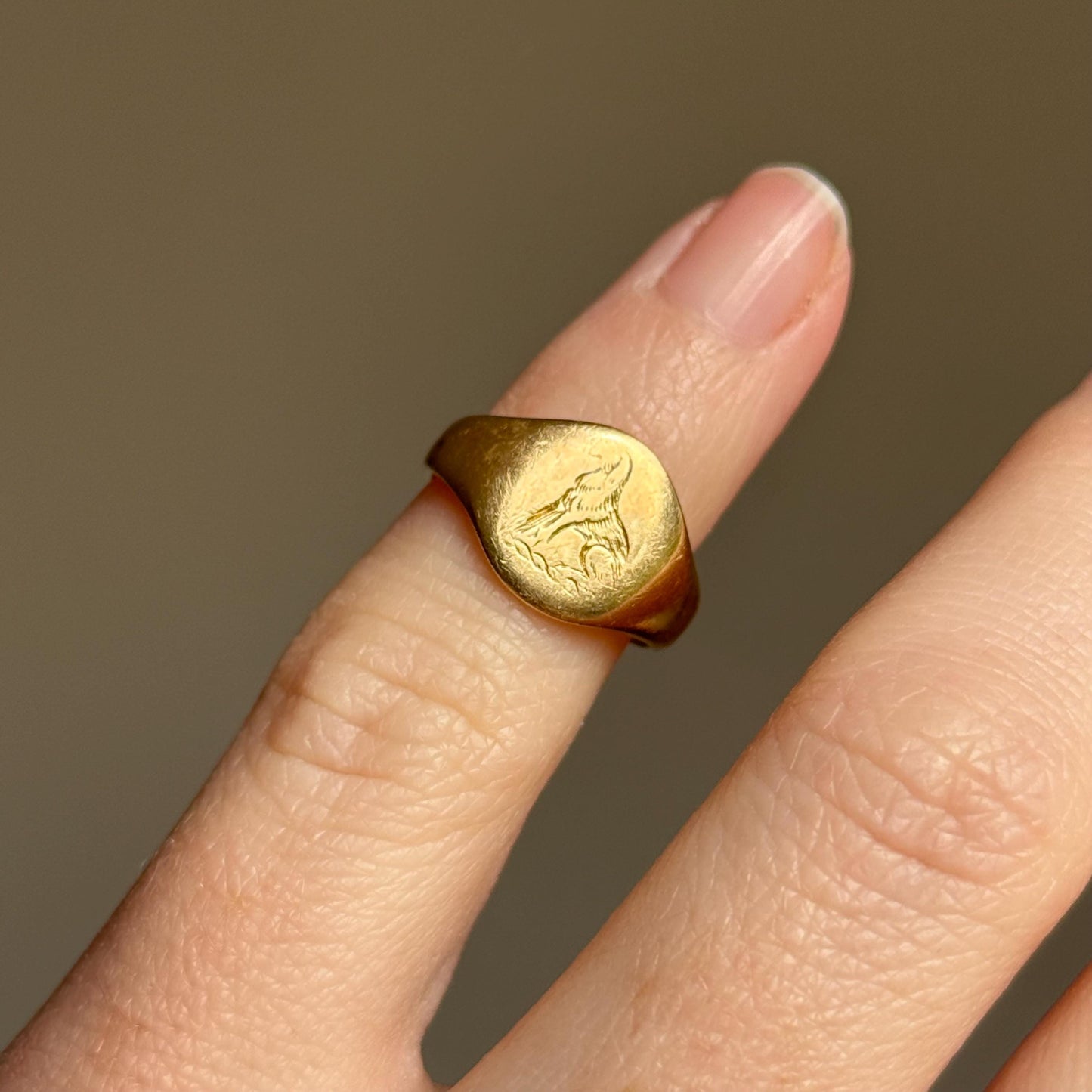 Ornate Dog Signet Ring in 18 Carat Gold; Circa 1950