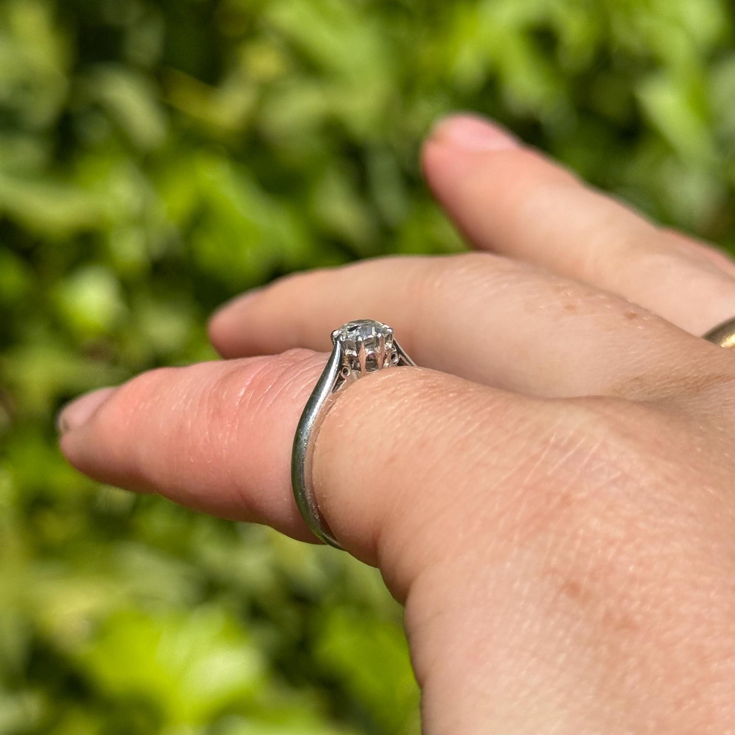 Antique Old Cut Diamond Ring in Platinum & Gold; Circa 1900